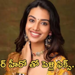 Meenakshi Chaudary: ఆ స్టార్ హీరో కొడుకుతో హీరోయిన్ పెళ్లి ఫిక్స్..?