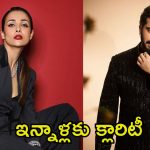 Arjun Kapoor: నేను సింగిల్.. మలైకాతో బ్రేకప్‌పై అందరి ముందు క్లారిటీ ఇచ్చిన అర్జున్ కపూర్