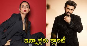 Arjun Kapoor: నేను సింగిల్.. మలైకాతో బ్రేకప్‌పై అందరి ముందు క్లారిటీ ఇచ్చిన అర్జున్ కపూర్