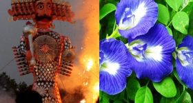 Vijayadashami 2024: దసరా నాడు ఈ సులభమైన పరిహారాలు పాటిస్తే ఇంట్లో ఆనందం, శ్రేయస్సు నిలిచి ఉంటాయి