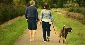 Walking: ప్రతి రోజు 30 నిమిషాలు నడవడం వల్ల ఈ రోగాలన్నీ దూరం