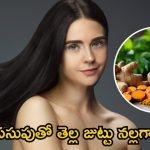 Turmeric For Hair: ఇలా చేస్తే.. క్షణాల్లోనే తెల్ల జుట్టు నల్లగా మారడం గ్యారంటీ