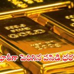 Gold Prices: భారీగా పెరిగిన బంగారం ధరలు