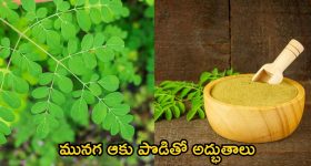 Moringa Powder: మునగ ఆకు పొడితో అద్భుతాలు..ఈ రోగాలన్నీ పరార్ !