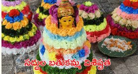 Shardiya Navratri 2024 Day 8: నవరాత్రుల మహా అష్టమి నాడు మహాగౌరీ దేవి పూజా విధానం, మంత్రం, నైవేద్యం వివరాలు ఇవే