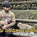 PVCU Movies :’జై హనుమాన్’ 7వ మూవీనా? ఈ కన్ఫ్యూజ్ ఏంటి మాస్టారు.. ఆ రెండిటి పరిస్థితి ఏంటి?