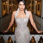 Priyanka Chopra: సిల్వర్ కలర్ డ్రెస్‌లో ప్రియాంక చోప్రా, ఎందుకు?