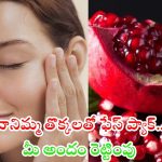 Pomegranate Peels Face Pack: దానిమ్మ తొక్కలతో ఫేస్ ప్యాక్‌.. మీ అందం రెట్టింపు