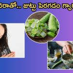 Aloe Vera For Hair: అలోవెరా ఇలా వాడితే.. మీ జుట్టు విపరీతంగాపెరుగుతుంది తెలుసా ?