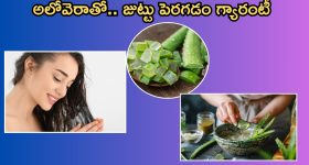 Aloe Vera For Hair: అలోవెరా ఇలా వాడితే.. మీ జుట్టు విపరీతంగాపెరుగుతుంది తెలుసా ?