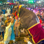 Sadar Festival : ధూం.. ధాం.. సదర్