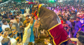 Sadar Festival : ధూం.. ధాం.. సదర్