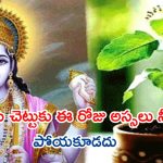 Papankusha Ekadashi: పాపాంకుశ ఏకాదశి రోజు పొరపాటున కూడా తులసి చెట్టుకు నీరు పోయకండి