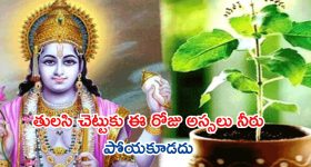 Papankusha Ekadashi: పాపాంకుశ ఏకాదశి రోజు పొరపాటున కూడా తులసి చెట్టుకు నీరు పోయకండి