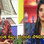 Bigg Boss Sonia : బిగ్ బాస్ వల్ల సోనియాకు భారీ నష్టం.. కట్టుకోబోయే వాడు కూడా..