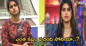 Bigg Boss Sonia : బిగ్ బాస్ వల్ల సోనియాకు భారీ నష్టం.. కట్టుకోబోయే వాడు కూడా..