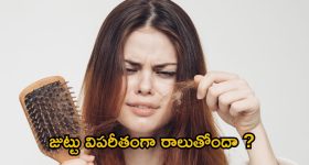 Karivepaku Rice: సింపుల్‌గా అయిపోయే లంచ్ బాక్స్ రెసిపీ కరివేపాకు రైస్, టేస్టీగా ఎలా చేయాలో తెలుసుకోండి