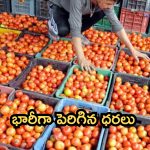 Vegetable Prices: సామాన్యుడిపై మరో భారం.. సెంచరీ చేరువలో ఉల్లి, టమాట