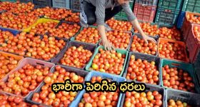 Vegetable Prices: సామాన్యుడిపై మరో భారం.. సెంచరీ చేరువలో ఉల్లి, టమాట
