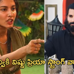 Bigg Boss 8 Telugu : ఇదేం కరువు రా బాబు.. పృథ్వికి విష్ణు ప్రియ స్ట్రాంగ్ వార్నింగ్..
