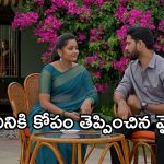 Satyabhama Today Episode : నందినికి కోపం తెప్పించిన మైత్రి.. క్రిష్ కు షాకిచ్చిన సత్య..