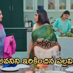 Intinti Ramayanam Today Episode : ఇంట్లో ఫంక్షన్ ను చెడగొట్టాలని పల్లవి ప్లాన్.. అవనిని ఇరికించిన పల్లవి..