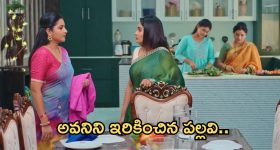 Intinti Ramayanam Today Episode : ఇంట్లో ఫంక్షన్ ను చెడగొట్టాలని పల్లవి ప్లాన్.. అవనిని ఇరికించిన పల్లవి..