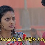 Satyabhama Today Episode : మహాదేవయ్య ఎమ్మెల్యే సీటు కన్ఫార్మ్.. సంజయ్ ను కొట్టిన సత్య..