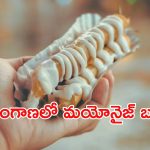 Mayonnaise Ban : మాయదారి మయోనైజ్.. తింటే అంతే సంగతులు, రాష్ట్రంలో నిషేధం
