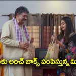 Nindu Noorella Saavasam Serial Today November 9th: ‘నిండు నూరేళ్ల సావాసం’ సీరియల్‌:  అమర్‌ కన్వీన్స్‌ చేసిన మనోహరి –  కలకత్తా టూర్‌ క్యాన్సిల్‌  