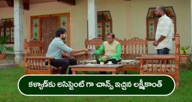 Kodiguddu Vellulli Karam: నోరు చప్పగా అనిపిస్తే కోడిగుడ్డు వెల్లుల్లిపాయ కారం ఇలా వండి చేసుకోండి, వేడి అన్నంలో అదిరిపోతుంది