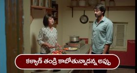 Nani: మళయాల దర్శకుడితో సినిమా చేయనున్న నాని
