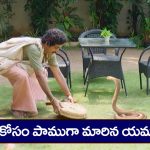 Nindu Noorella Saavasam Serial Today November 20th: ‘నిండు నూరేళ్ల సావాసం’ సీరియల్‌ :  మనోహరికి మిస్సమ్మ వార్నింగ్‌  –  ఆరు స్పర్శను తెలుసుకున్న అమర్‌