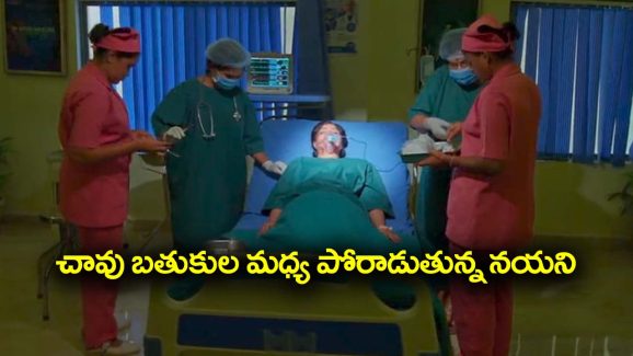 Trinayani Serial Today November 9th: ‘త్రినయని’ సీరియల్‌: నయనికి ఆపరేషన్‌ చేస్తున్న డాక్టర్లు – అదే హాస్పిటల్‌ కు బామ్మను తీసుకుని వచ్చిన త్రినేత్రి  