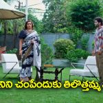 Trinayani Serial Today November 2nd: ‘త్రినయని’ సీరియల్‌:  తనను పాము కాటేస్తుందన్న నయని – నయనిని చంపేందుకు తిలొత్తమ్మ ప్లాన్‌  