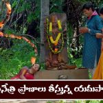 Trinayani Serial Today November 15th: ‘త్రినయని’ సీరియల్‌:  ప్రసాదం తిని చనిపోయిన నేత్రి – నయనిని హాస్పిటల్ చేంజ్‌ చేయమన్న విక్రాంత్‌