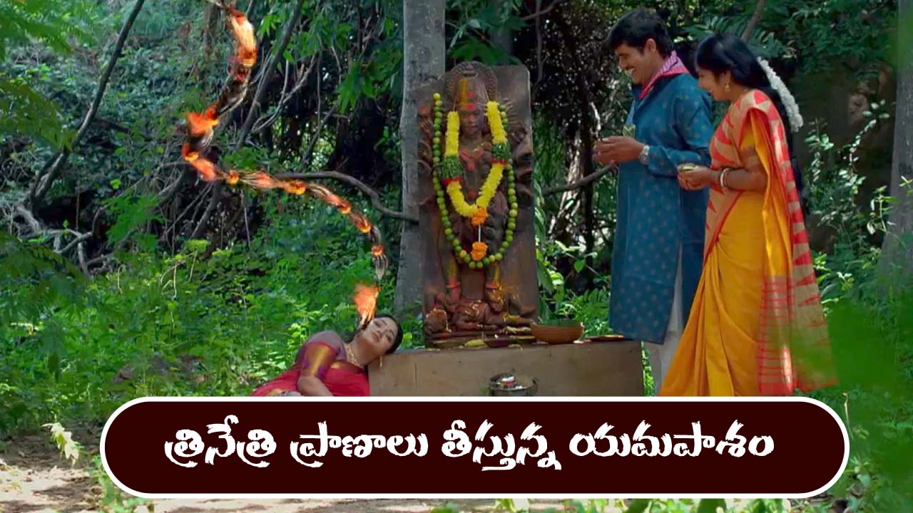 Trinayani Serial Today November 15th: ‘త్రినయని’ సీరియల్‌:  ప్రసాదం తిని చనిపోయిన నేత్రి – నయనిని హాస్పిటల్ చేంజ్‌ చేయమన్న విక్రాంత్‌