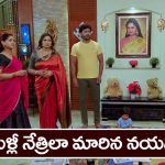 Trinayani Serial Today November 21st: ‘త్రినయని’ సీరియల్‌:  మళ్లీ నేత్రిలా మారిపోయిన నయని – నేత్రి బతికే ఉందన్న స్వామిజీ