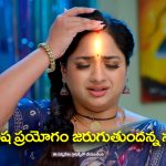 Trinayani Serial Today November 4th: ‘త్రినయని’ సీరియల్‌:  తనపై విష ప్రయోగం జరుగుతుందన్న నయని – నయనికి పిచ్చి ముదిరిందన్న తిలొత్తమ్మ