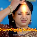 Trinayani Serial Today November 1st: ‘త్రినయని’ సీరియల్‌:   తనను పాము కాటేస్తున్నట్లు తెలుసుకున్న నయని – విక్రాంత్‌ ను కొట్టిన తిలొత్తమ్మ