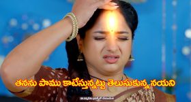 Trinayani Serial Today November 1st: ‘త్రినయని’ సీరియల్‌:   తనను పాము కాటేస్తున్నట్లు తెలుసుకున్న నయని – విక్రాంత్‌ ను కొట్టిన తిలొత్తమ్మ