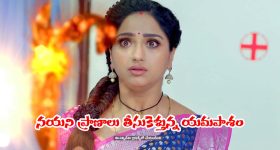 YS Jagan: అసెంబ్లీ సమావేశాలకు ధీటుగా జగన్ కూడా