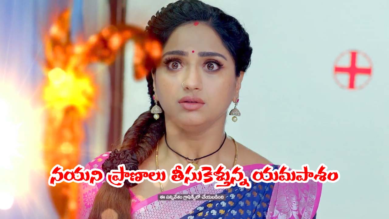 Trinayani Serial Today November 13th: ‘త్రినయని’ సీరియల్‌: నయని ప్రాణాలు తీసుకెళ్లిన యమపాశం – నేత్రిని చంపేందుకు ముక్కోటి ప్లాన్‌     