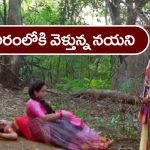 Trinayani Serial Today November 16th: ‘త్రినయని’ సీరియల్‌:   నేత్రి శరీరంలోకి వెళ్లిన నయని ఆత్మ – ఇంటికి వచ్చిన నయనిని చూసి అందరూ షాక్‌