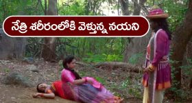 Pushpa 2: విడుదలకు ముందు మొదలైన ఎడబాటు.. తమన్ మాటలకు ఫీల్ అయిన డీఎస్పీ..?