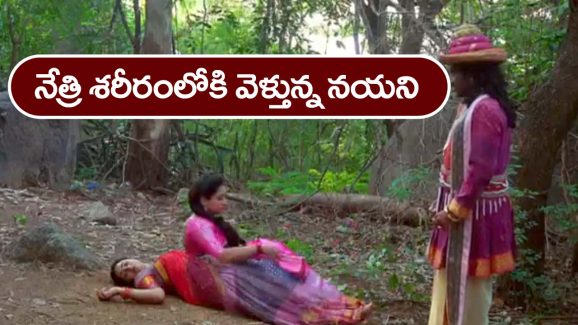 Trinayani Serial Today November 16th: ‘త్రినయని’ సీరియల్‌:   నేత్రి శరీరంలోకి వెళ్లిన నయని ఆత్మ – ఇంటికి వచ్చిన నయనిని చూసి అందరూ షాక్‌
