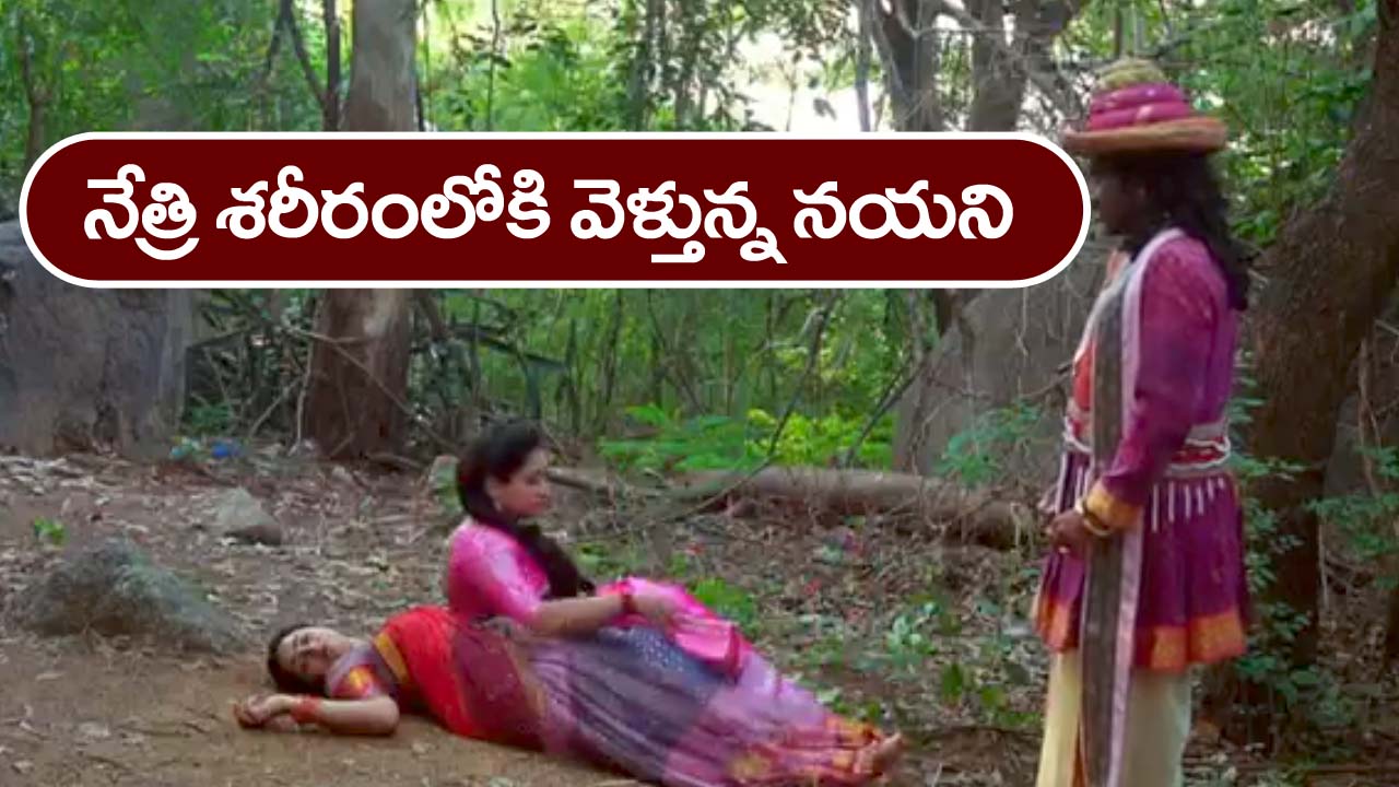 Trinayani Serial Today November 16th: ‘త్రినయని’ సీరియల్‌:   నేత్రి శరీరంలోకి వెళ్లిన నయని ఆత్మ – ఇంటికి వచ్చిన నయనిని చూసి అందరూ షాక్‌