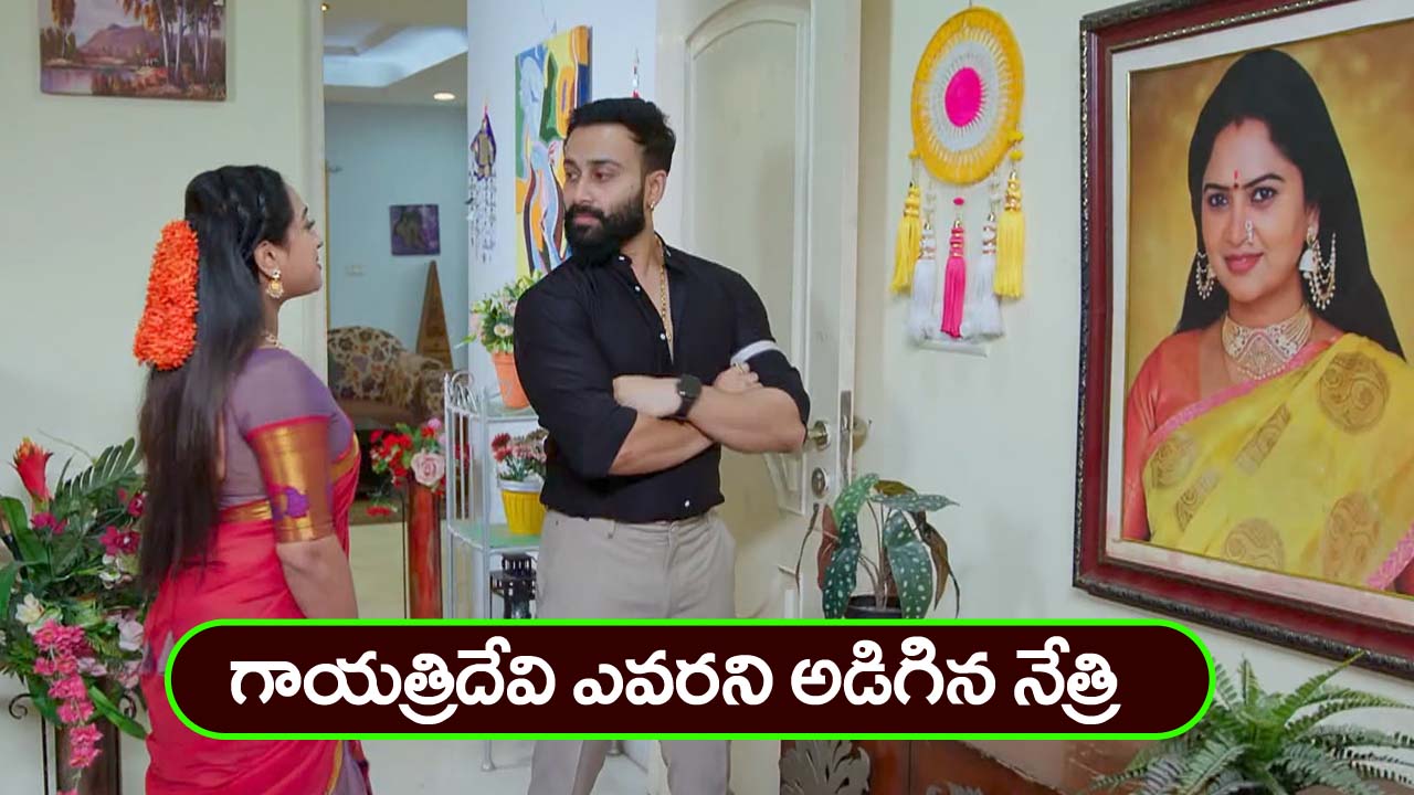 Trinayani Serial Today November 18th: ‘త్రినయని’ సీరియల్‌: నాపేరు త్రినయని కాదు త్రినేత్రి – అయోమయంలో విశాల్‌ – దేవీపురం పేరు చెప్పగానే ఉలిక్కిపడ్డ నేత్రి     