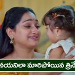 Trinayani Serial Today November 19th: ‘త్రినయని’ సీరియల్‌:  నయనిలా మారిపోయిన నేత్రి – డాక్టర్‌ సారిక అనుమానాస్పద మృతి