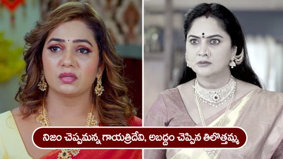 Trinayani Serial Today November 27th: ‘త్రినయని’ సీరియల్‌:   పాలు తాగి స్పృహ కోల్పోయిన గాయత్రి పాప – గాయత్రిదేవిని చూడలేకపోయిన నేత్రి